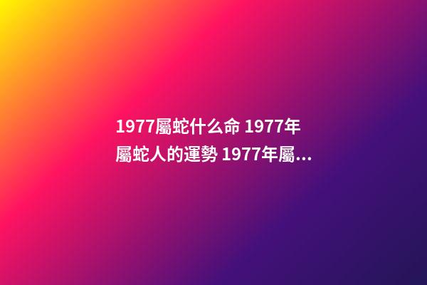 1977屬蛇什么命 1977年屬蛇人的運勢 1977年屬蛇人的一生運勢-第1張-觀點-玄機派